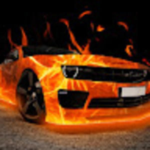 Meet your Posher, Blake